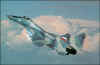 MiG-29_newa.jpg (31733 bytes)