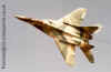 MiG-29.jpg (53880 bytes)