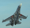 Su-27_h.gif (279781 bytes)